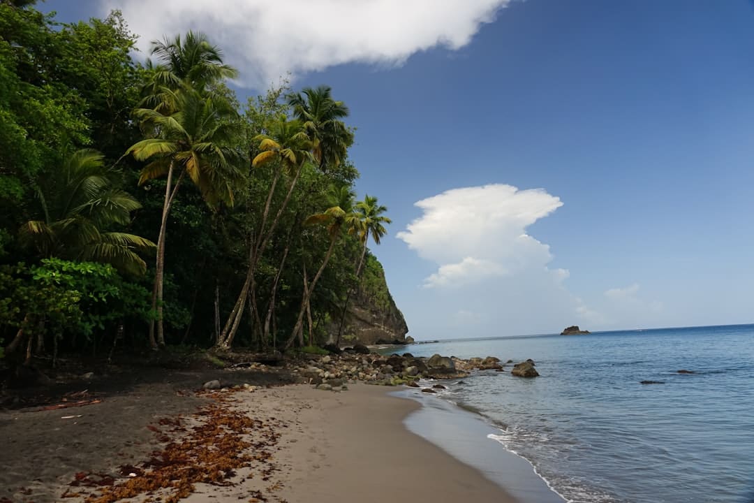 découvrez la beauté envoûtante de la martinique, une île des caraïbes riche en culture, plages de sable blanc et paysages luxuriants. plongez dans son histoire fascinante, savourez sa gastronomie créole et explorez ses parcs naturels pour une expérience inoubliable.